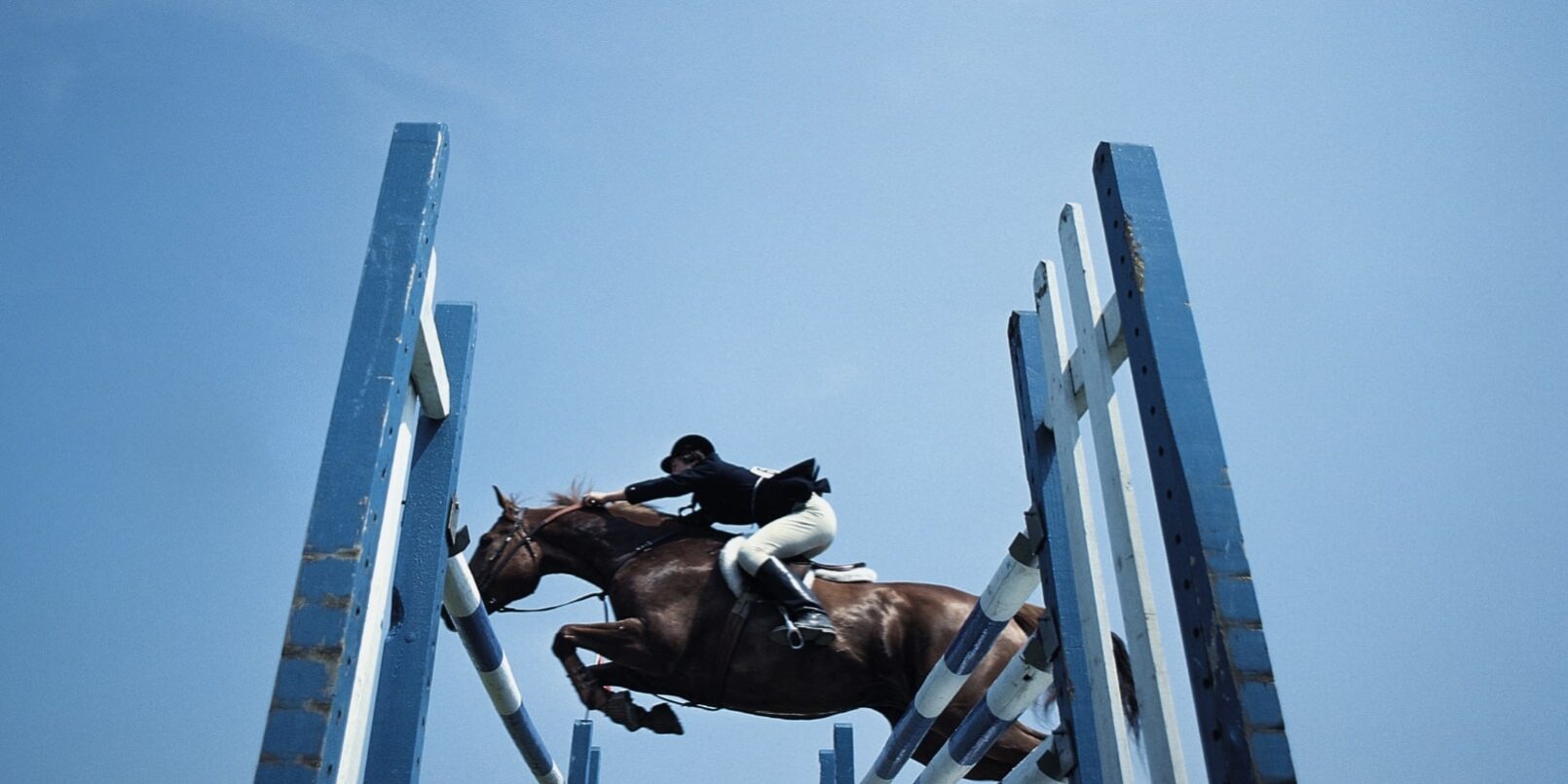 Design sans titre – 6